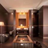 FAP Suite 2