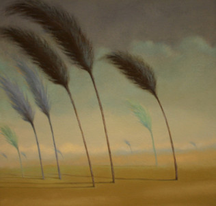 COOL BREEZE 72