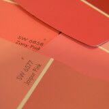 Honeysuckle paints