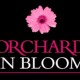 Orchard in Bloom